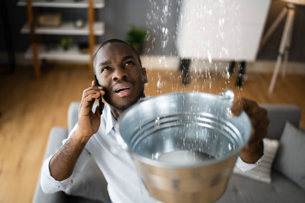 Best Water damage restoration process  in Shandon, CA