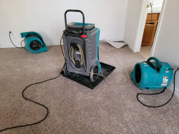 Best Water damage restoration near me  in Shandon, CA