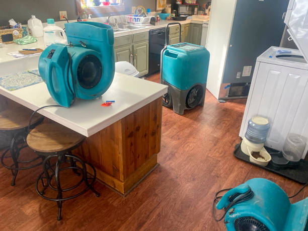 Best Water damage restoration insurance claims  in Shandon, CA