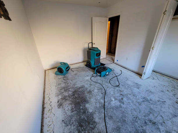 Water damage restoration mold remediation in Shandon, CA