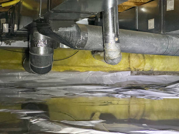 Trusted Shandon, CA Water damage restoration Experts