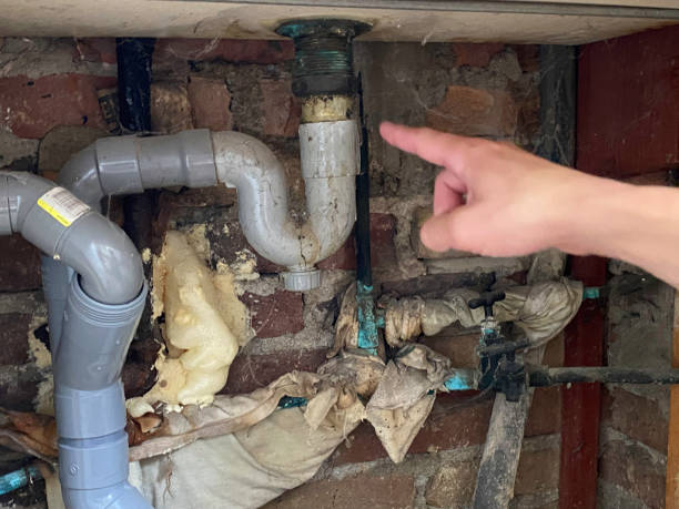 Best 24/7 water damage repair  in Shandon, CA