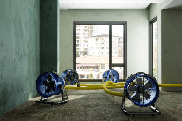Fire Damage Restoration in Shandon, CA
