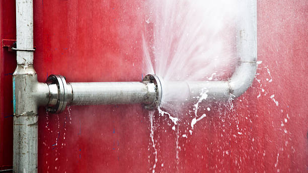 Best Basement water damage restoration  in Shandon, CA